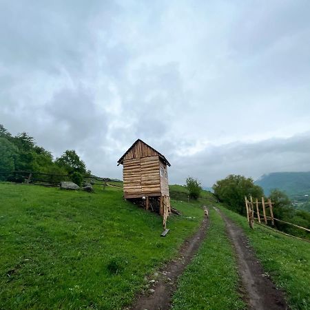 Alereks Mountain Camping Tumanyan 外观 照片