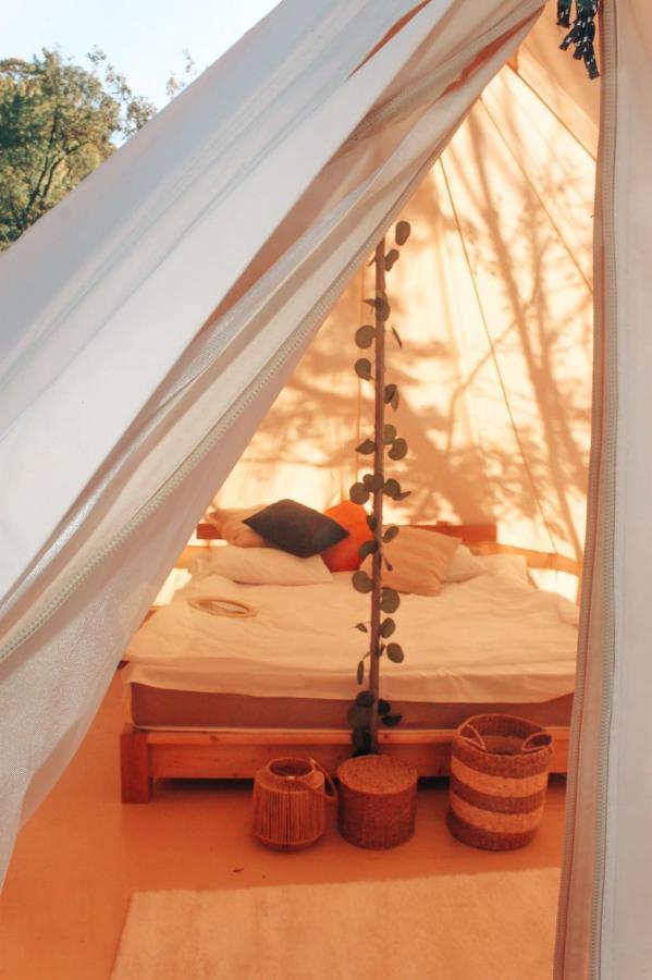Alereks Mountain Camping Tumanyan 外观 照片