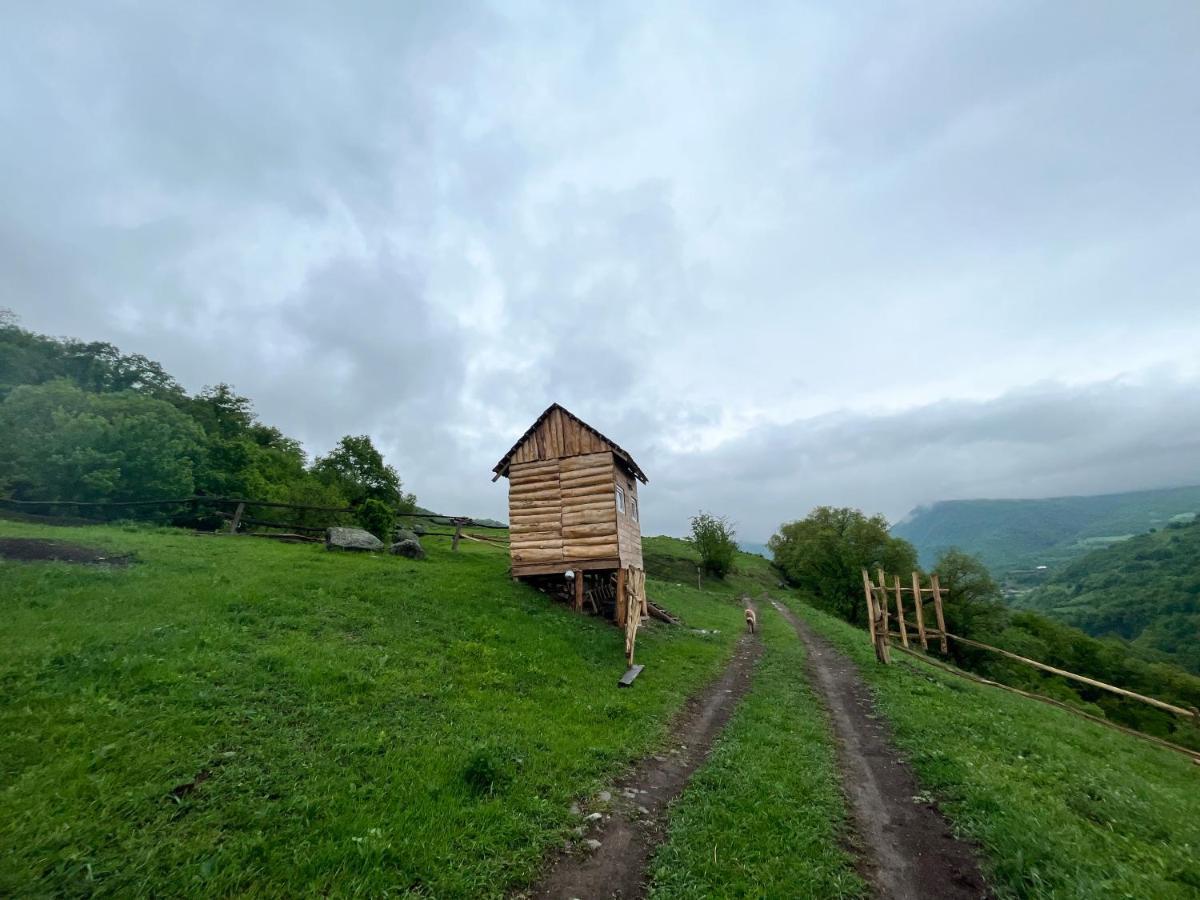 Alereks Mountain Camping Tumanyan 外观 照片